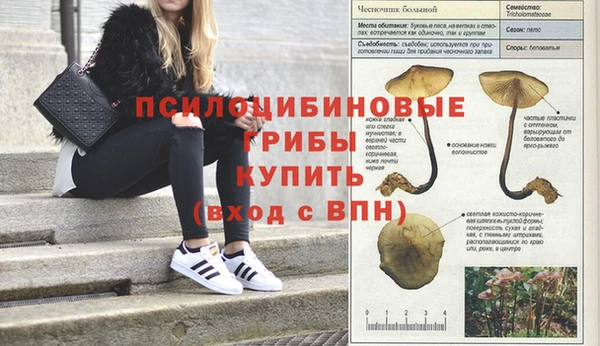ALPHA PVP Алексеевка